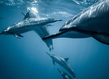 开云体育：让热爱成为可触达的日常